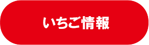 いちご情報